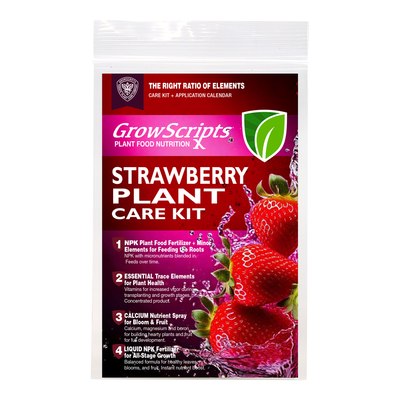 GrowScripts Container Grown Strawberry Plant Food Care Kit