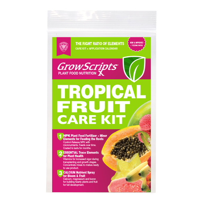 Container & Large Tropical Fruit Fertilizer Care Kit