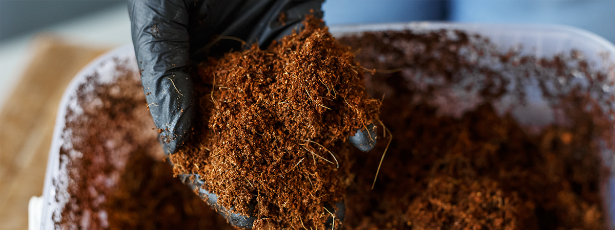 Understanding the Science of Fertilizer Plant Food