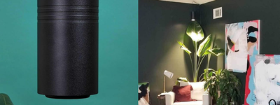 Best Grow Light for Citrus Trees: Keep Your Trees Thriving Indoors
