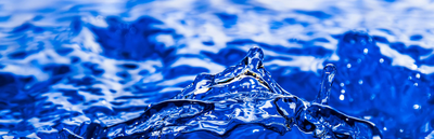 Micronutrients Image