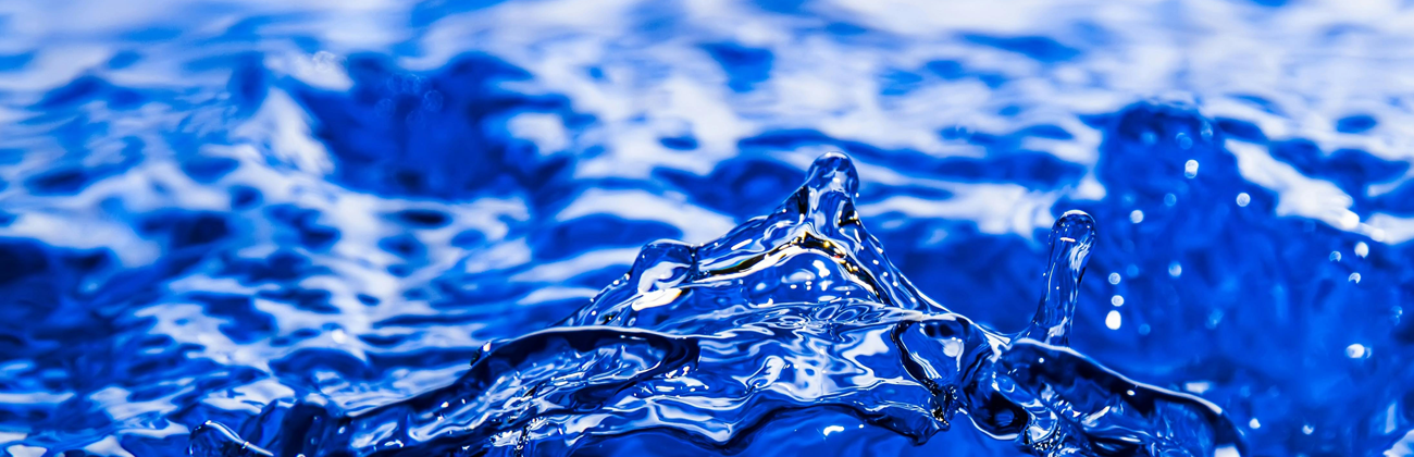 Micronutrients Image