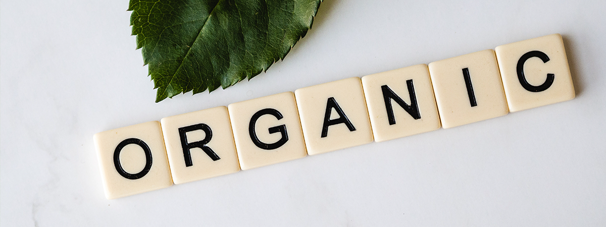 Benefits of Organic Plant Food: Grow Healthier Plants Sustainably