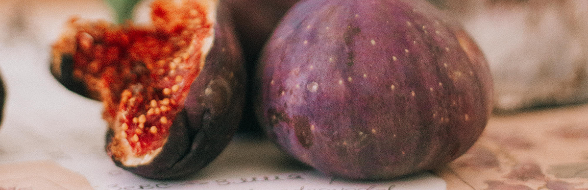 Growing Fig Trees Indoors: A Simple, Repeatable System That Works