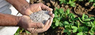 Fertilizer Guide: Understanding Granule Fertilizer