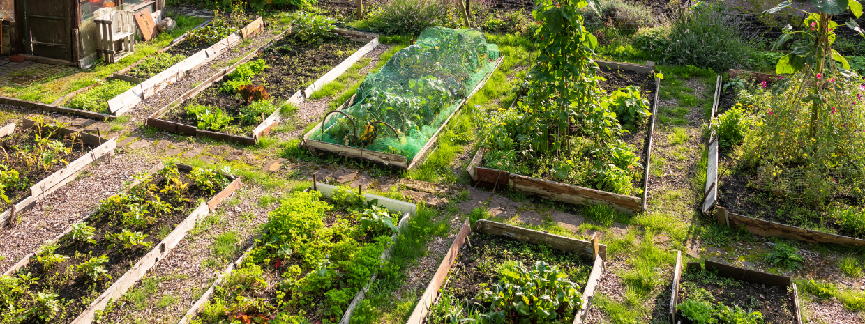 Why Gardening Soil Testing is Essential for Thriving Plants in City Landscapes