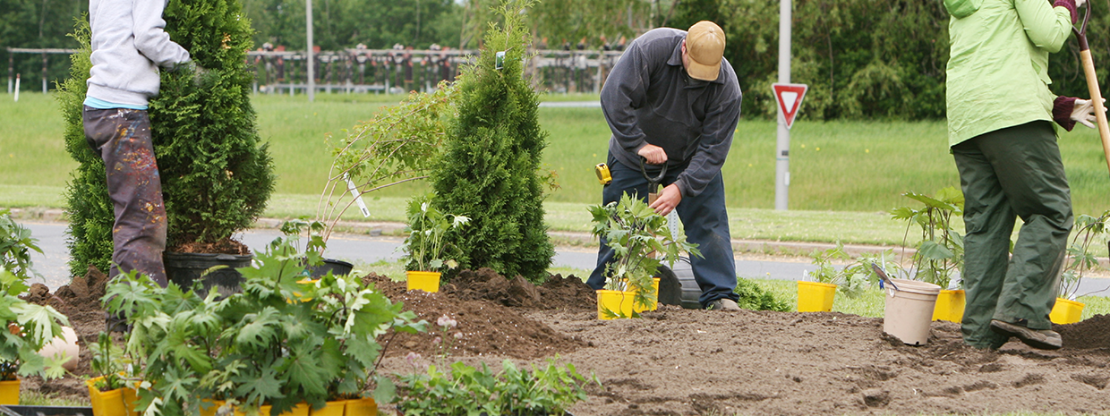 Spring Planting Essentials