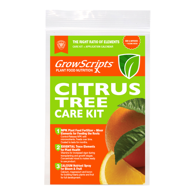 First-Ever Proven Container Citrus Tree Care Fertilizer Kit