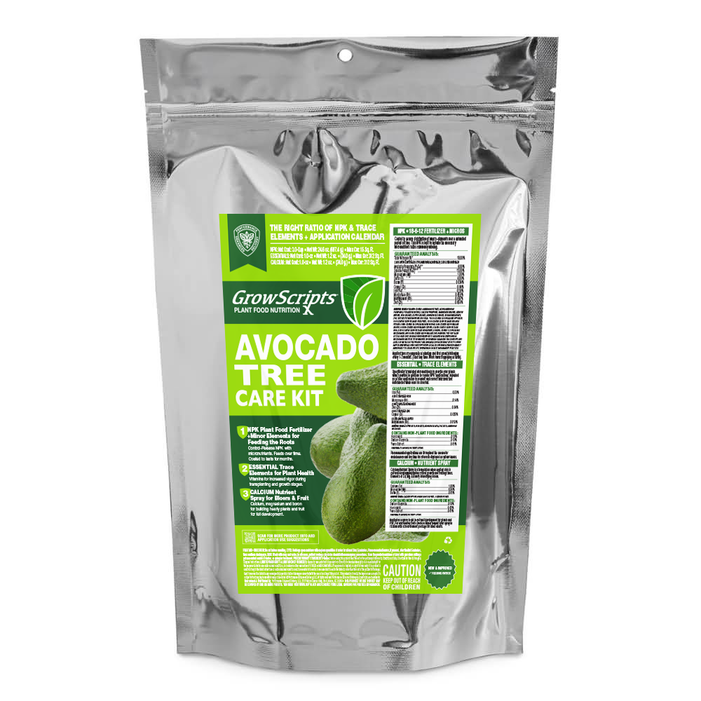 Large In-Ground Avocado Tree Fertilizer Care Kit