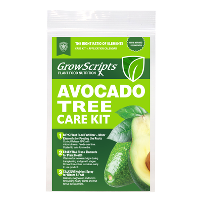 Container Avocado Tree Fertilizer Care Kit