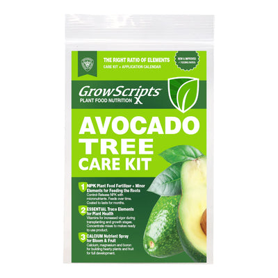 Where to Get Fertilizer for Avocado Plants: Avocado Care Kits – Nutrition for Thriving Trees 🌱🥑