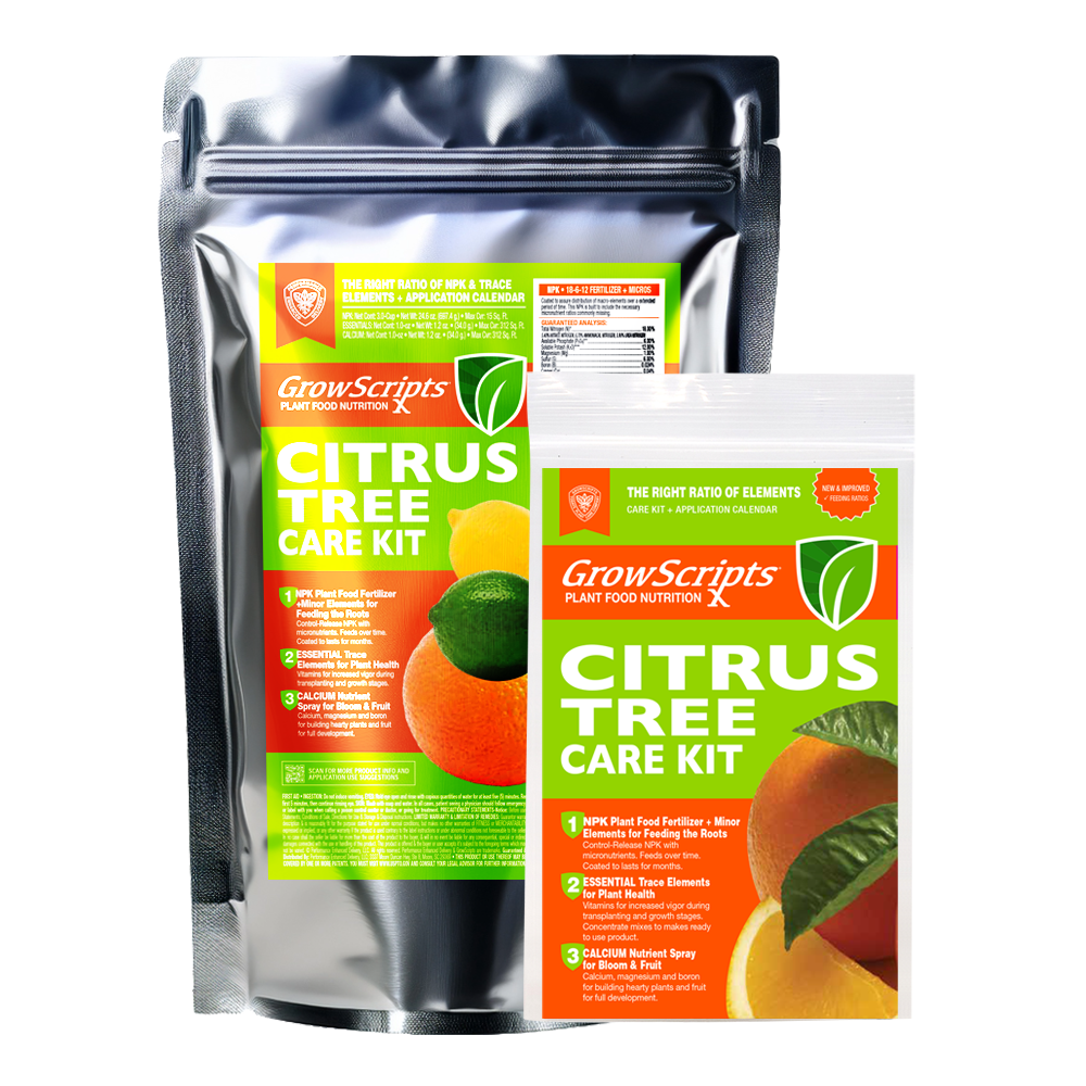3-in-1 Citrus Tree Fertilizer for Container Citrus (Small & Large Options)