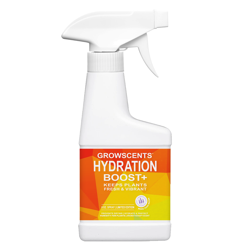 Hydration Boost+ for Plants – 8oz | Limited Edition Scents – GrowScripts