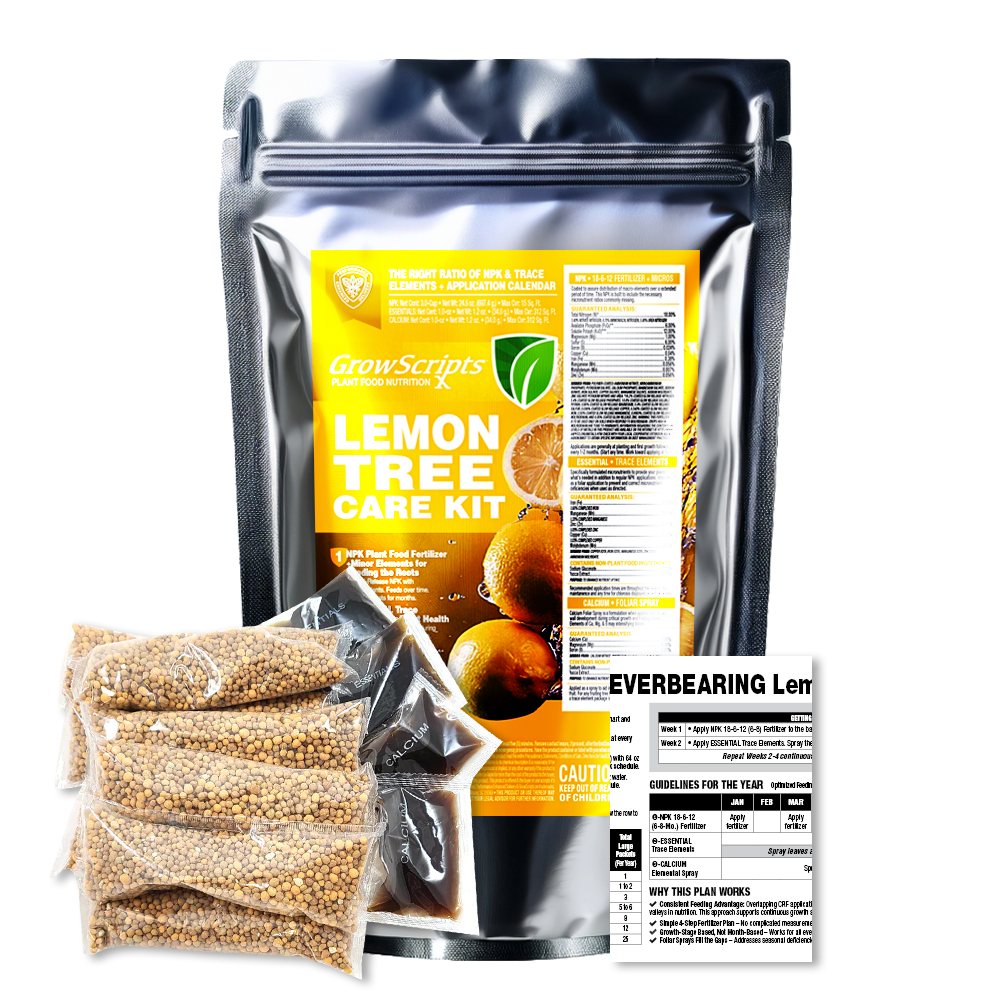 GrowScripts Everbearing Lemon Tree Care Kit shown with a large black resealable pouch, three small bags of seeds, and an Everbearing Lemon Plant Care Label on a white background.
