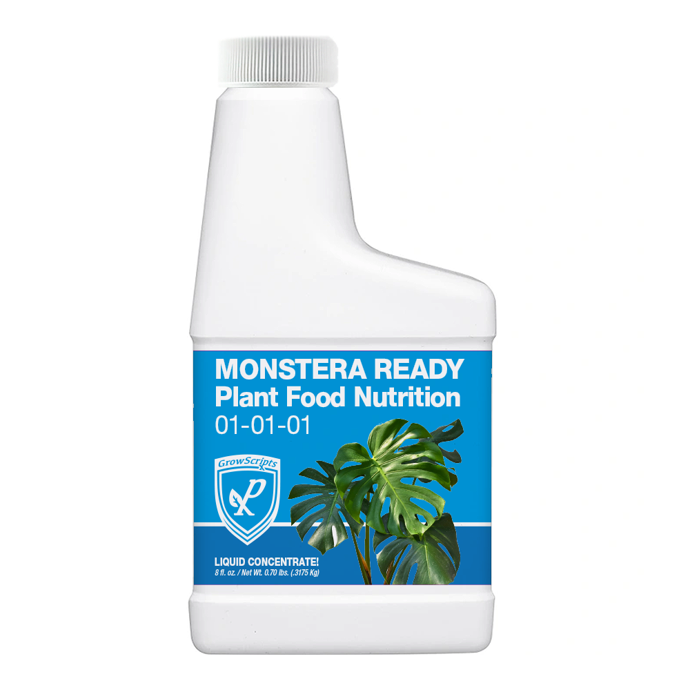 Monstera Plant Care Made Easy | GrowScripts Monstera Fertilizer