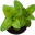 GrowScripts logo