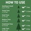 Evergreen Tree Fertilizer - How To Use