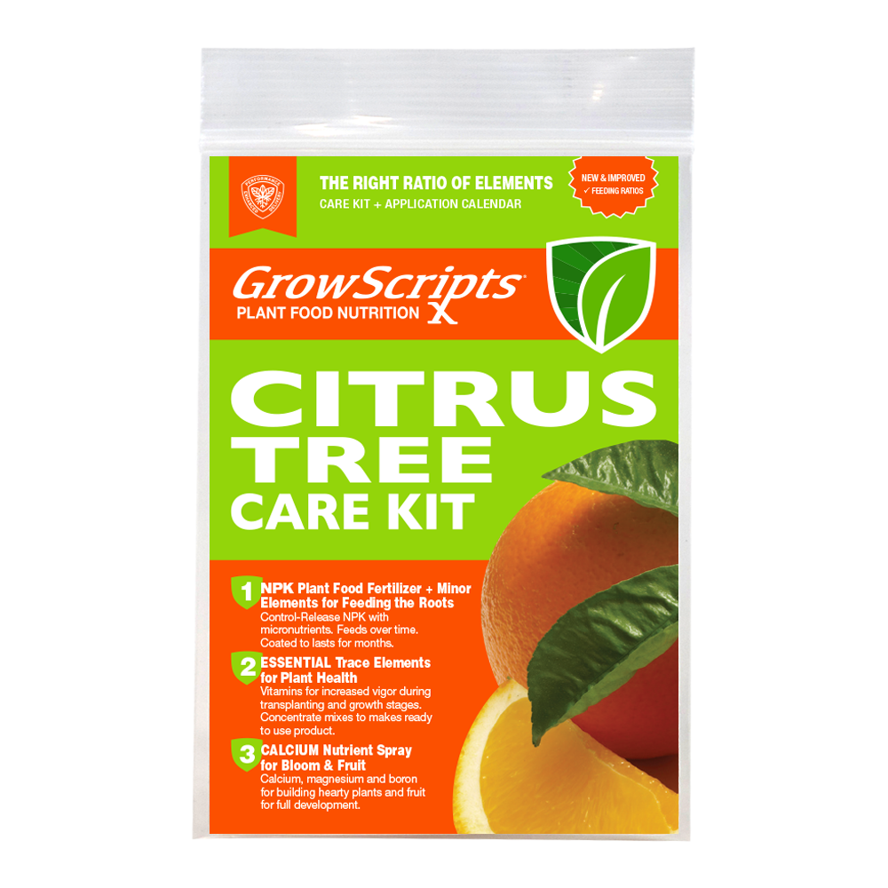 First-Ever Proven Container Citrus Tree Care Fertilizer Kit