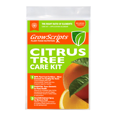 First-Ever Proven Container Citrus Tree Care Fertilizer Kit