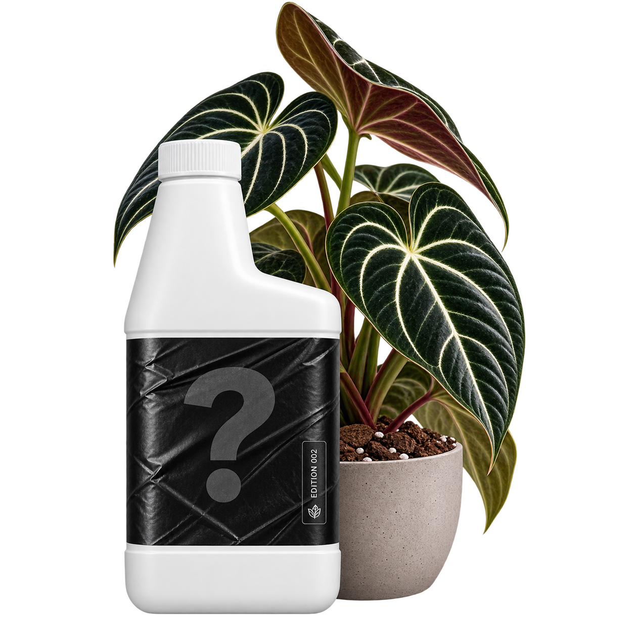 A white plastic bottle with a black label featuring a large gray question mark and a small 'potato' label, positioned next to a potted houseplant with dark green and burgundy variegated leaves in a beige pot against a solid white background.