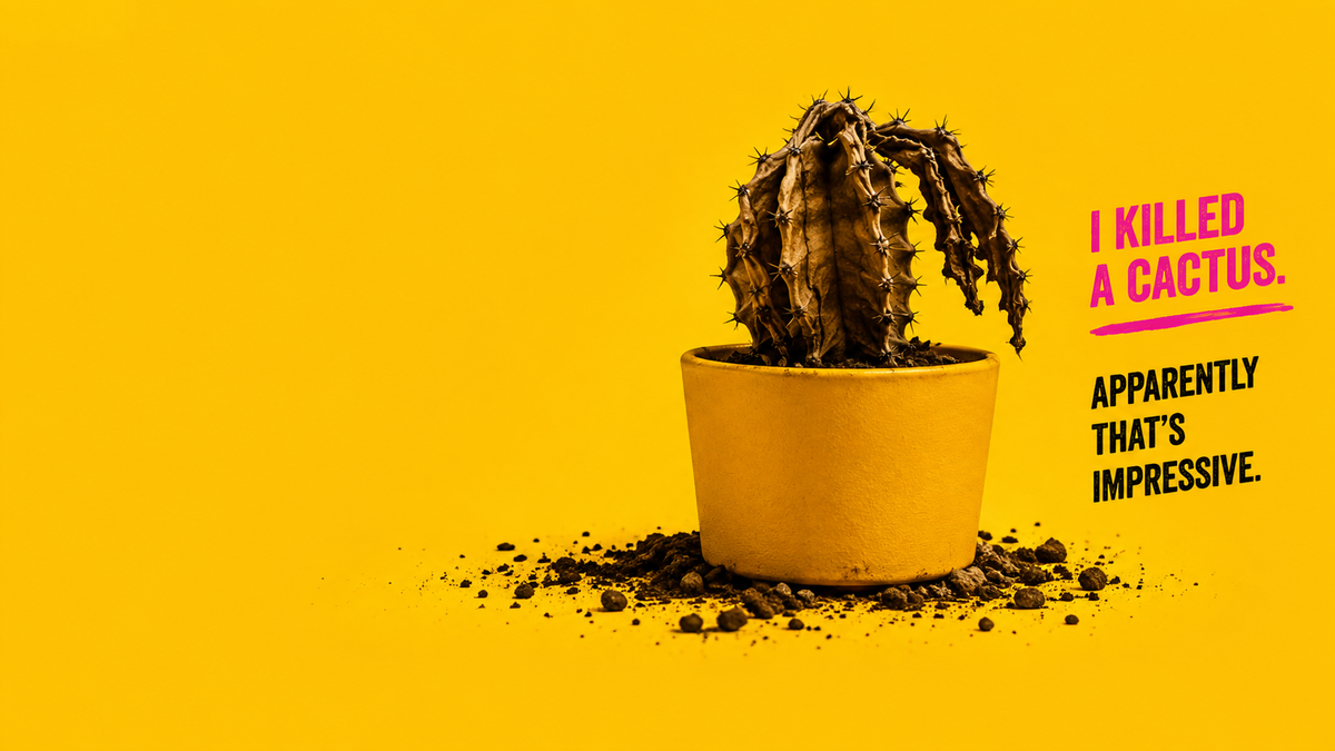 A potted cactus on a bright yellow background with the text 'I KILLED A CACTUS. APPARENTLY THAT'S IMPRESSIVE.