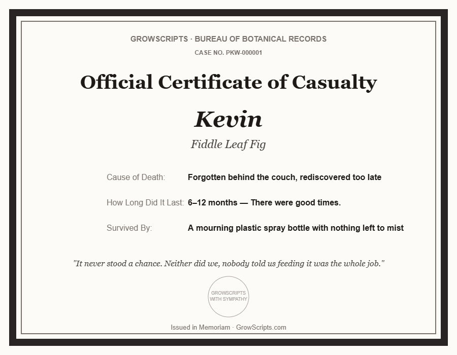 A memorial-style certificate design reading 'Official Certificate of Casualty' with the name Kevin, plus humorous cause-of-death and survival notes, on a white background with a thin black border.