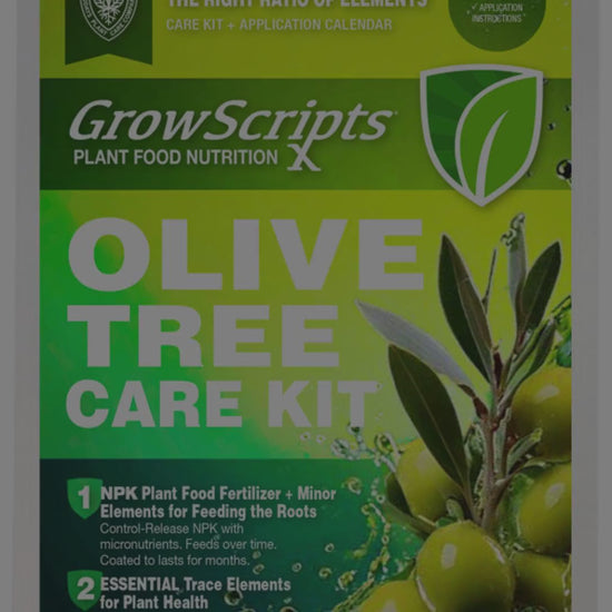 Video introduction of container olive tree care kit