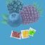 Berry Bush Fertilizer Kit: Container Blueberry, Raspberry, Blackberry Kit