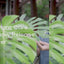 Video Promo for the House & Patio Plant Care Kit