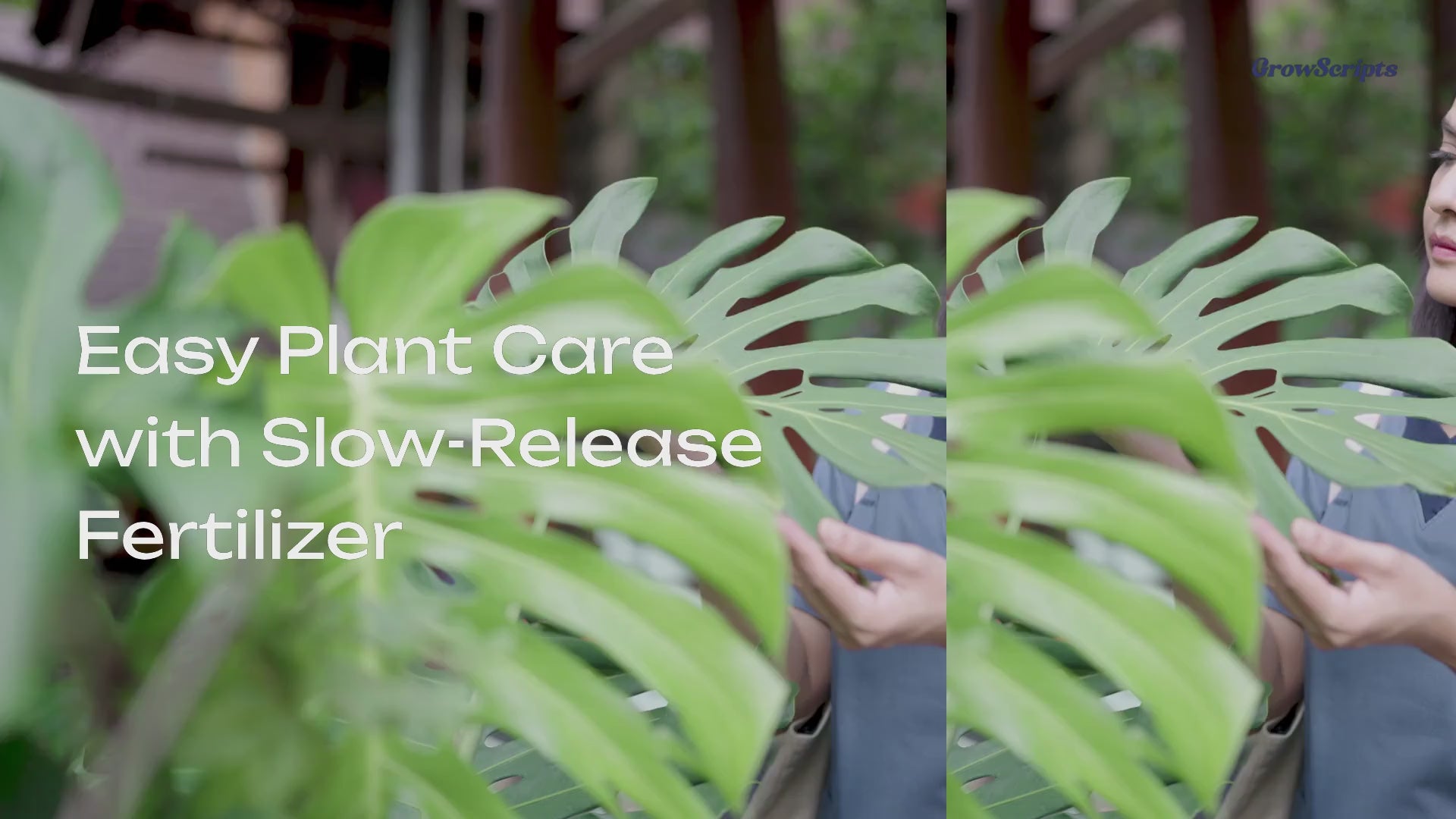 Video Promo for the House & Patio Plant Care Kit