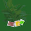 Indoor House Plant Fertilizer Kit