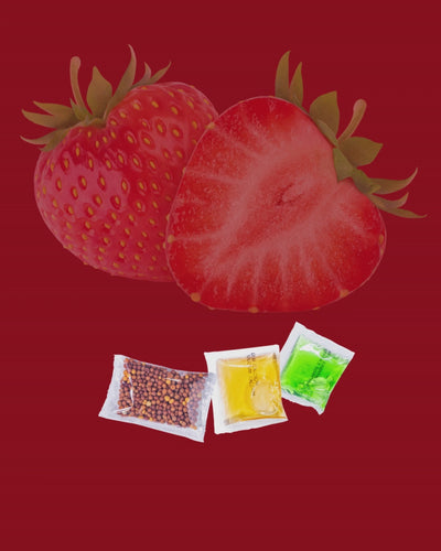 Strawberry Growing Kit: 4-in-1 Products for Containers